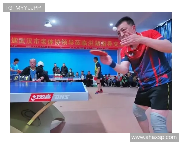 武汉乒乓球队个人能力分析与发展策略探讨