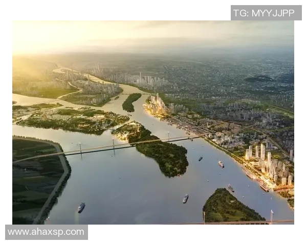 广州乒乓球队的转型之路：从传统强队到现代化竞技新标杆的探索与实践