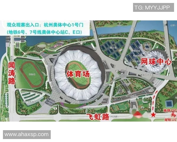 杭州网球队技术表现深度分析与数据解读探讨